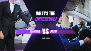 chauffeur vs driver