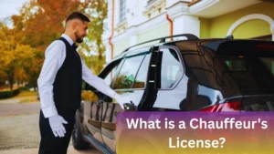 What is a Chauffeur's License